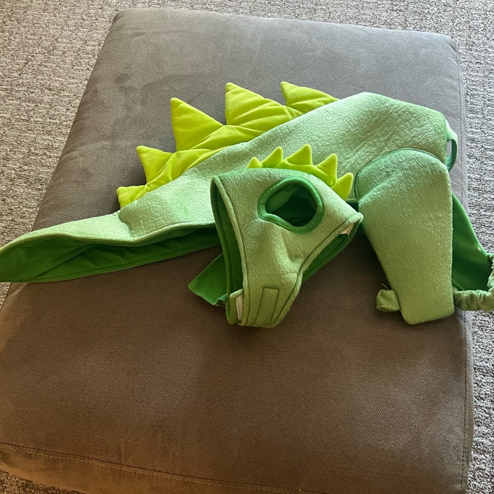 Green alligator Costume